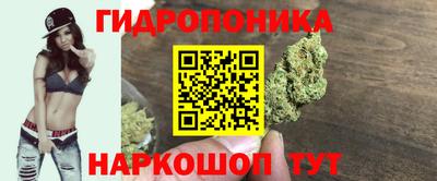 прущий лед Гусев