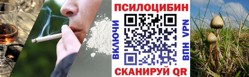 Псилоцибиновые грибы Psilocybe  наркошоп  Североморск 