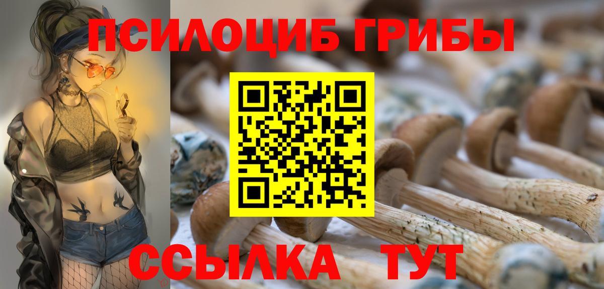 Псилоцибиновые грибы Psilocybe  Североморск 
