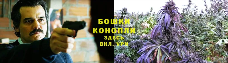 где продают наркотики  Североморск  Бошки Шишки Amnesia 